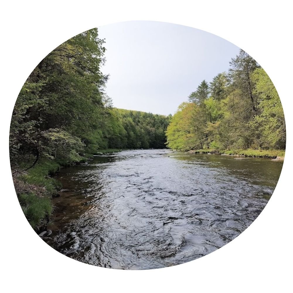 how to maximize Airbnb rental income