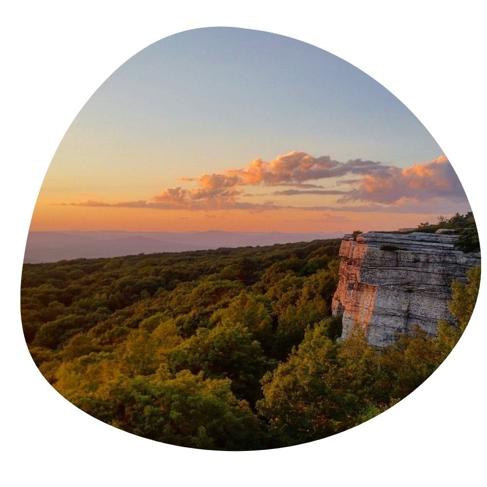 how to maximize Airbnb rental income