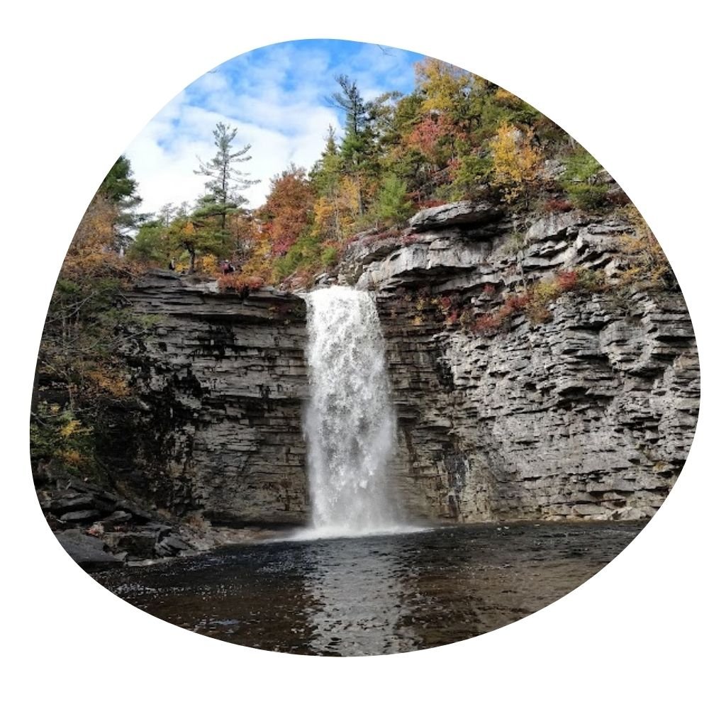 how to maximize Airbnb rental income