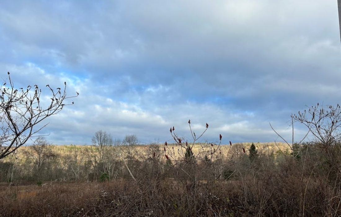 vacation rental manager services