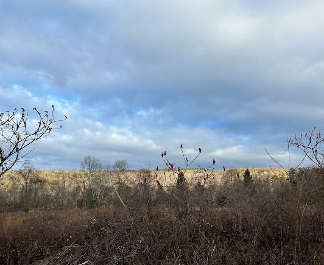 0ceab489-1f02-47ff-925a-9c75918a35b8 (1)