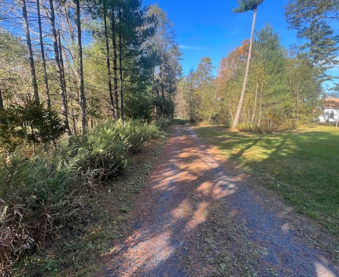 0fa1da49-f596-4208-bd99-4d60a78a6777 (1)