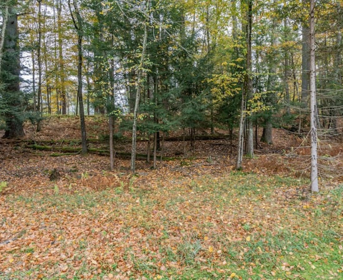 108d1f38-341b-4b57-836b-da1a8cd0b3b5 (1)