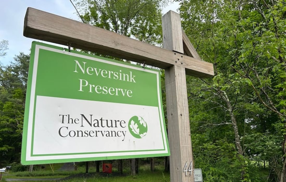 airbnb pricing optimization