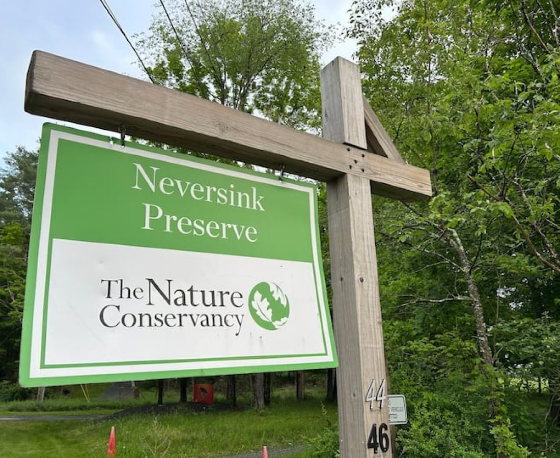 1c0f1fa5-376f-459e-b48f-a1709e50efe4 (1)