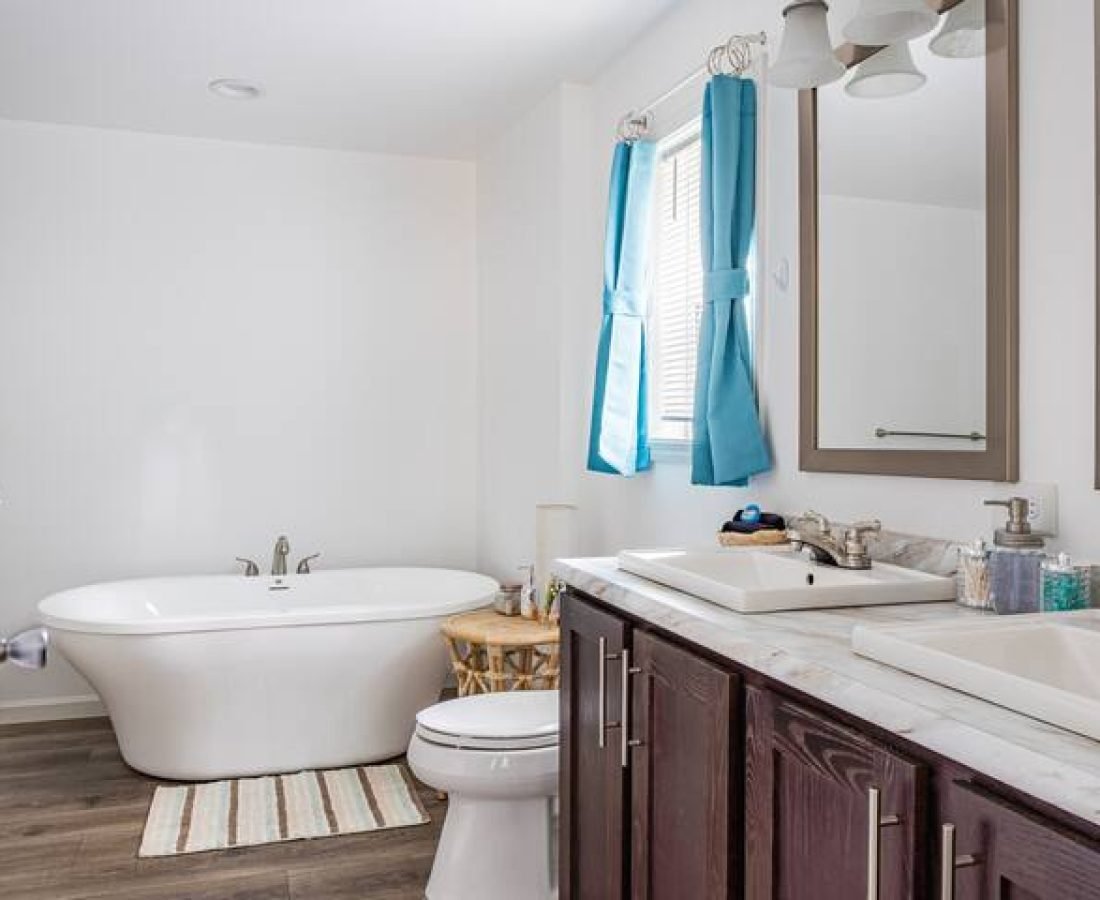 2cc745dc-8fe1-4db1-86b6-18e1b91d033f (1)