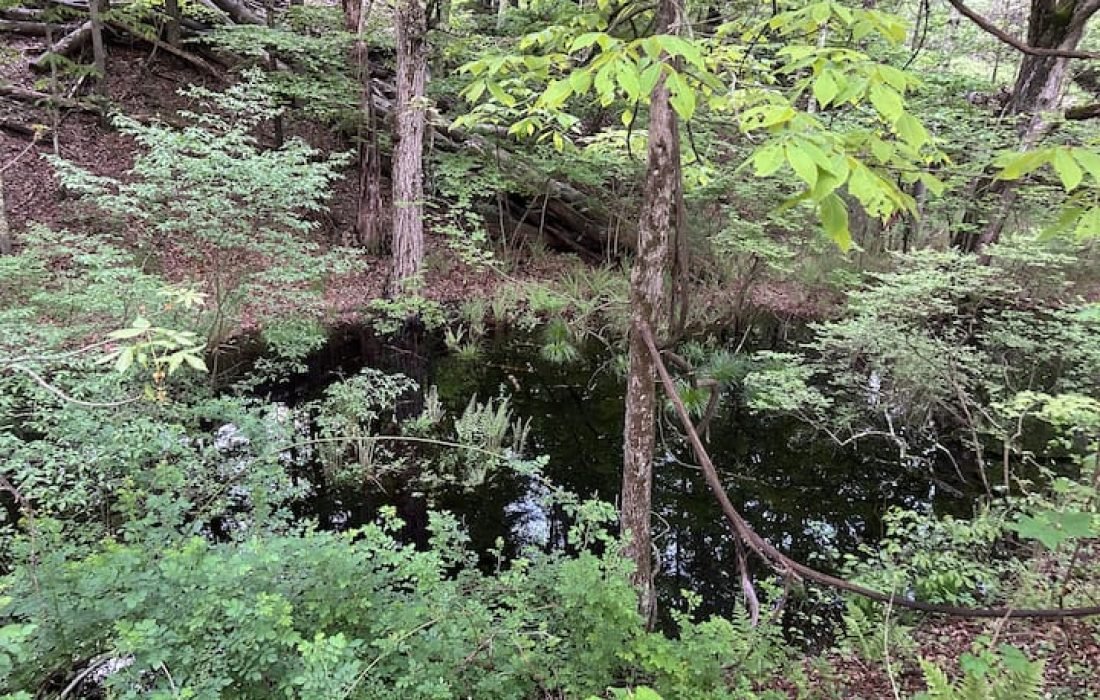 airbnb pricing optimization