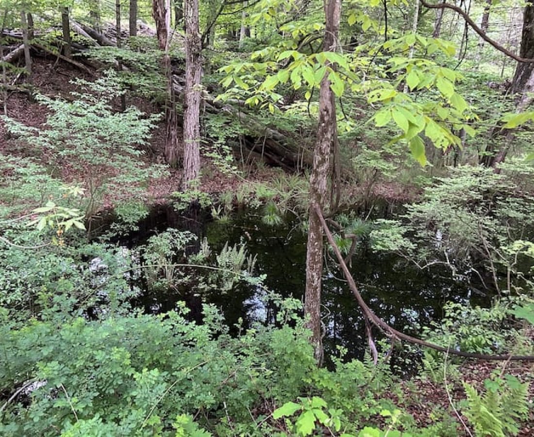 2f265b2c-8574-4abe-9f1b-31a9632d9e10 (1)