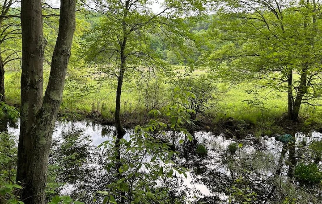 vacation rental manager services