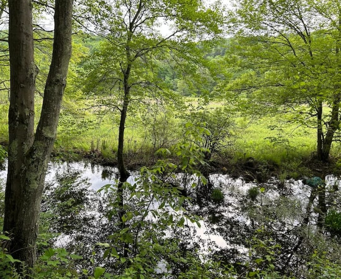 6f973fdd-2400-4b98-ada4-d3554287e1bf (1)