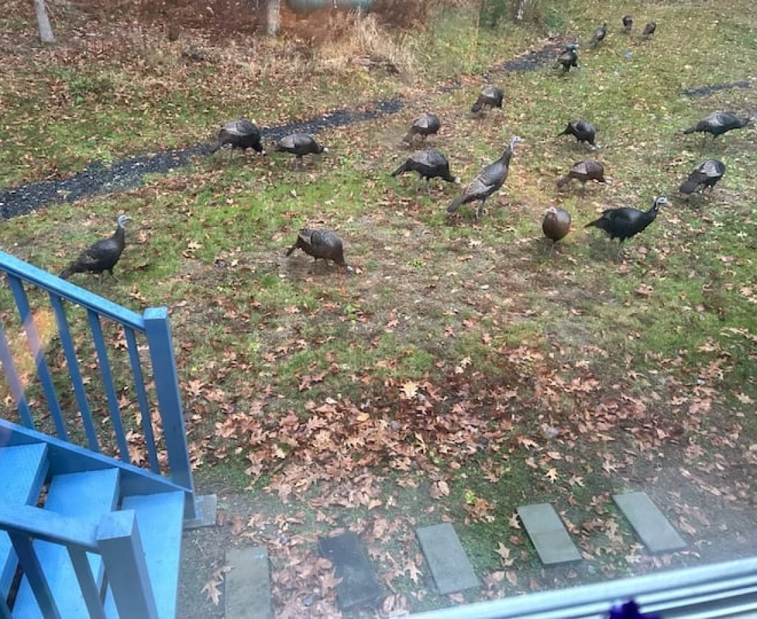 84e8172f-bd04-4d95-a8af-0d8fa64f35aa (1)