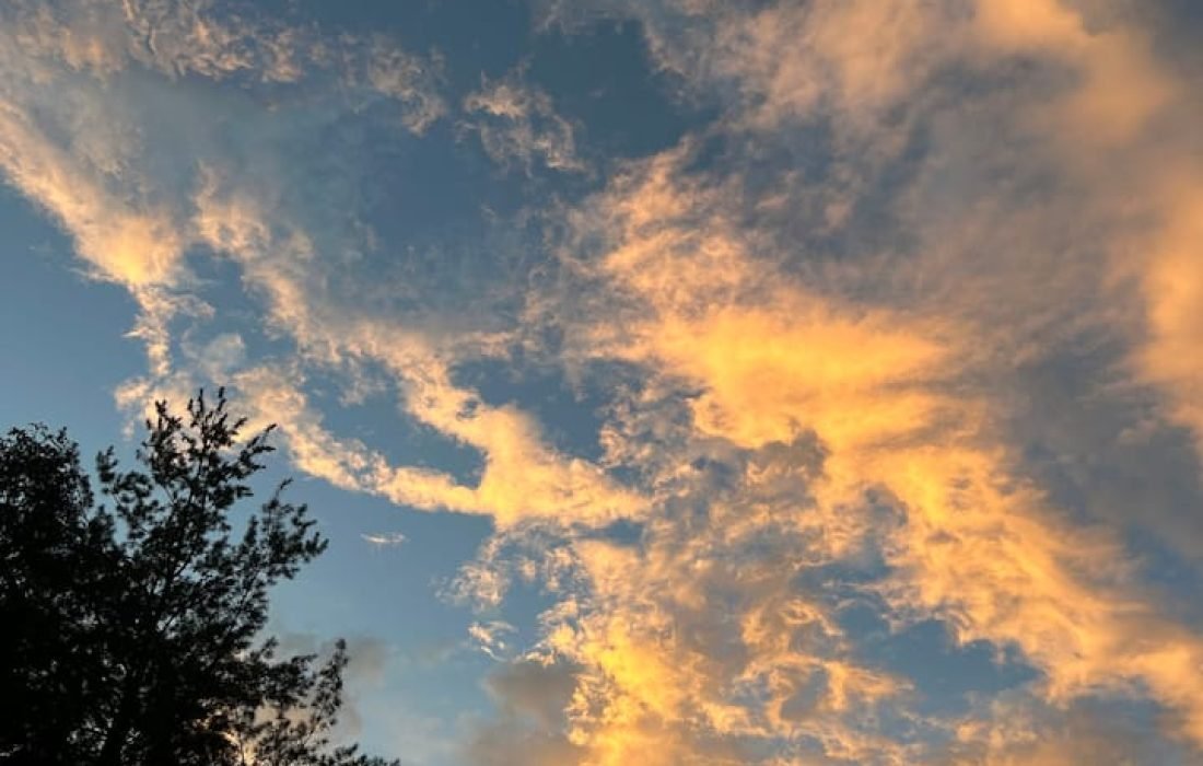 airbnb pricing optimization