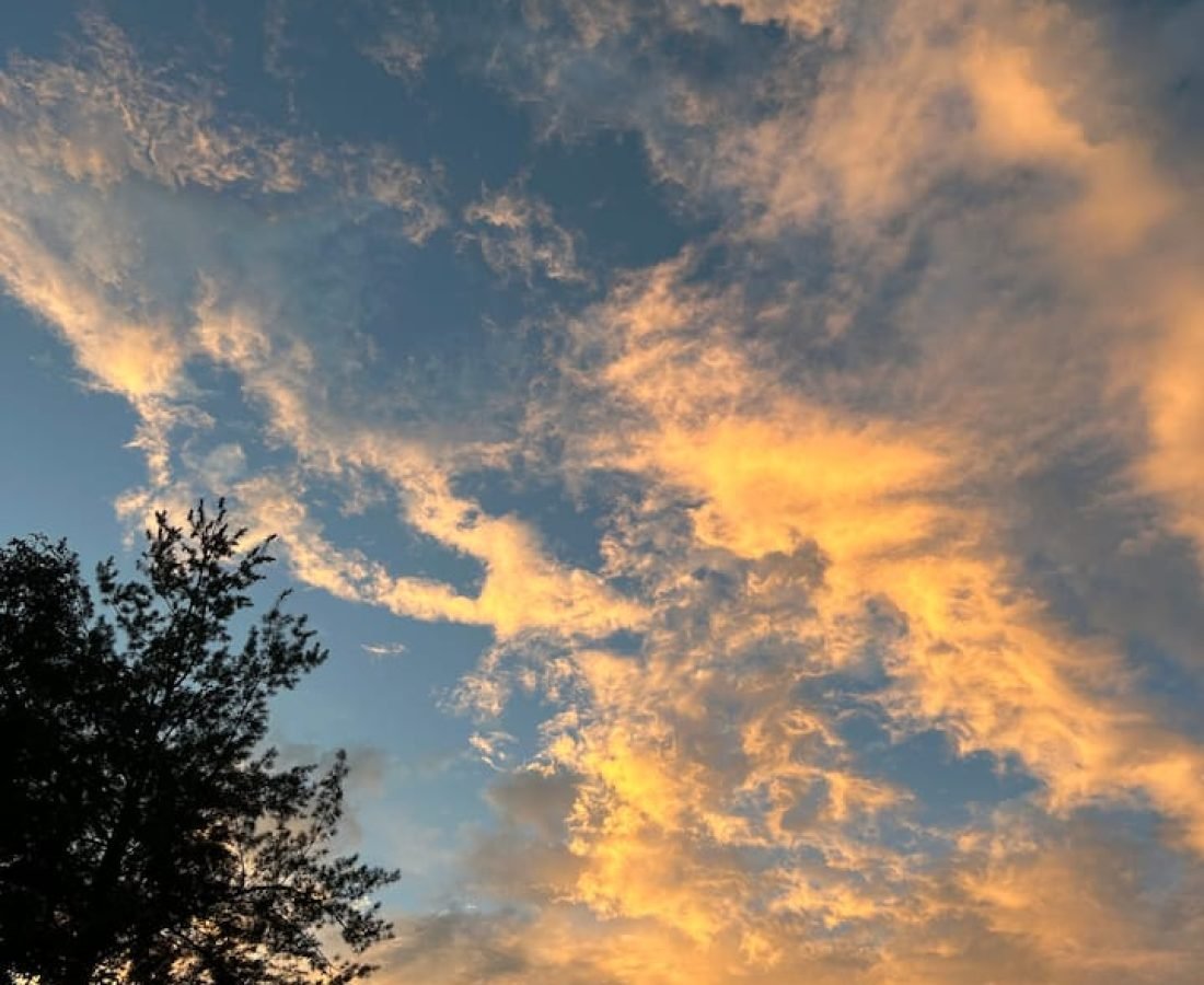 94809513-c91f-48aa-8a2c-eecea0c417fd (1)