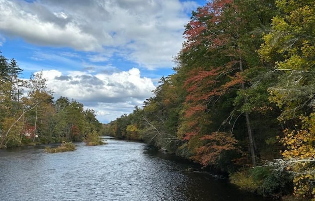 short-term rental cleaning coordination