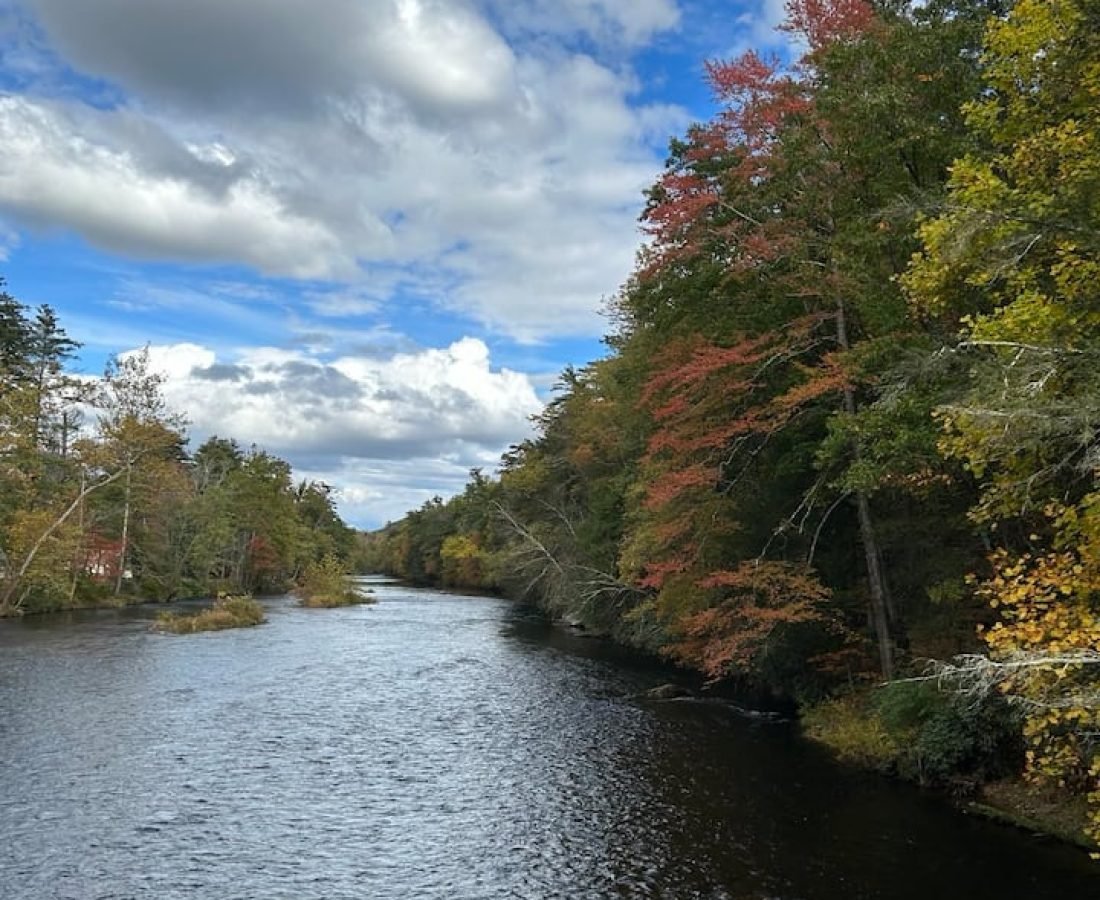 f70634fb-aa19-4a9a-a6d5-55c64b51bbf9 (1)