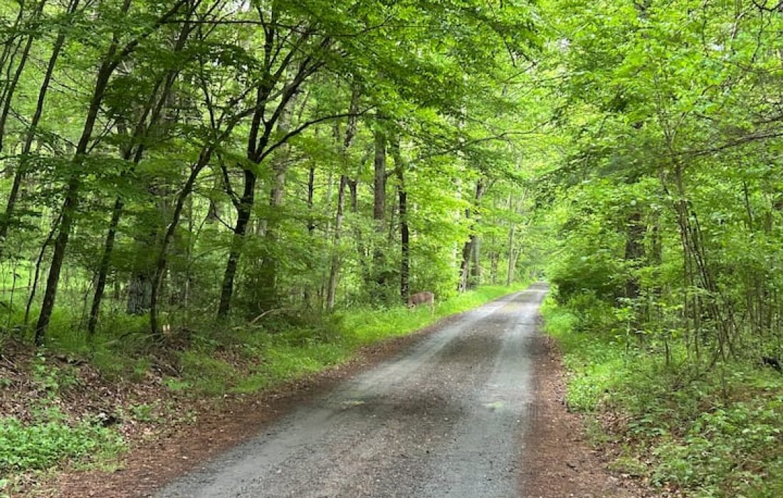 short-term rental cleaning coordination