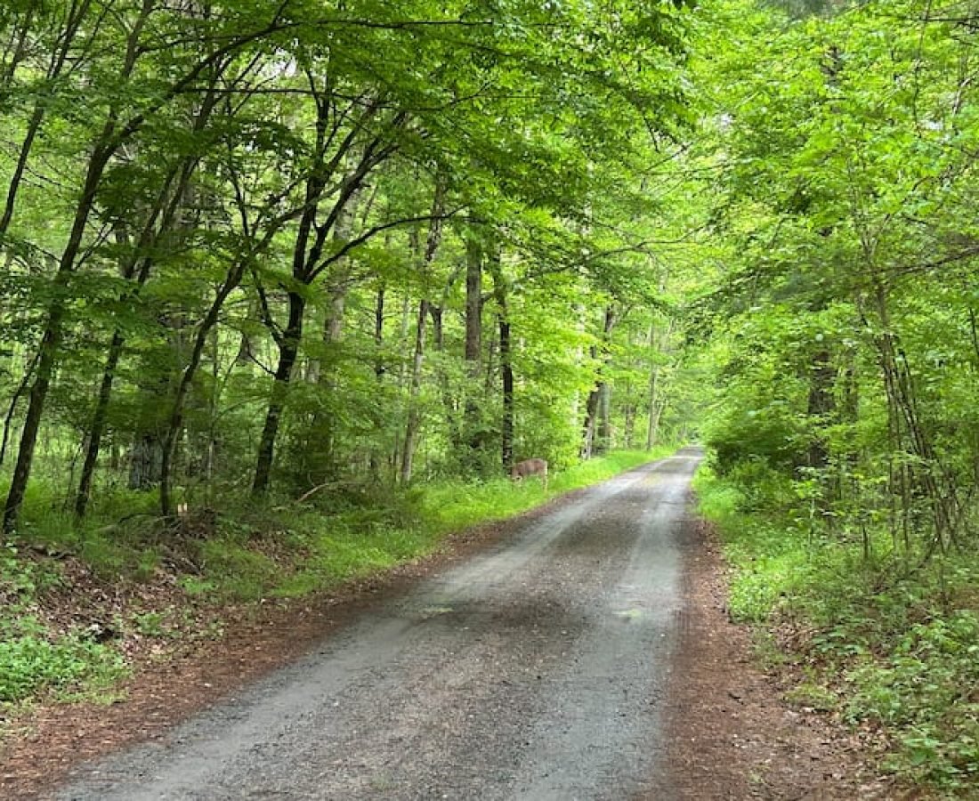 f7178a51-a5f6-44e8-9a23-8287792def7f (1)